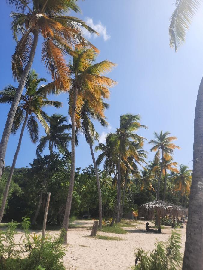 Virgin Islands Campground Water Island Exterior foto